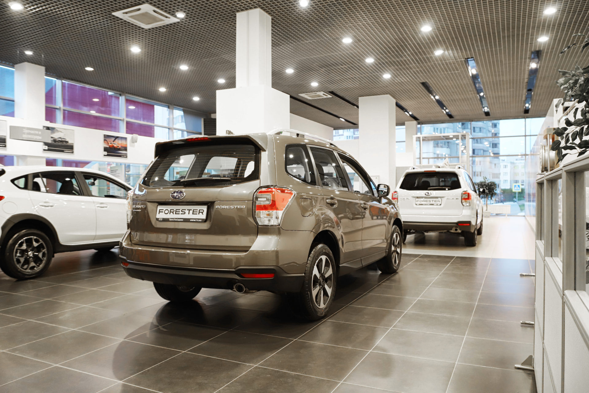 White and gray cars in a white and gray showroom. Monotone and uninspiring.